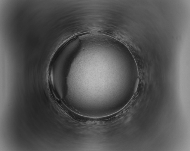 X0000093430242200710121207