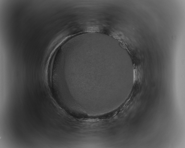 X0000093430243200710121207