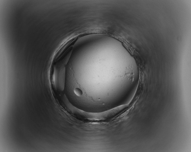 X0000093430244200710121207