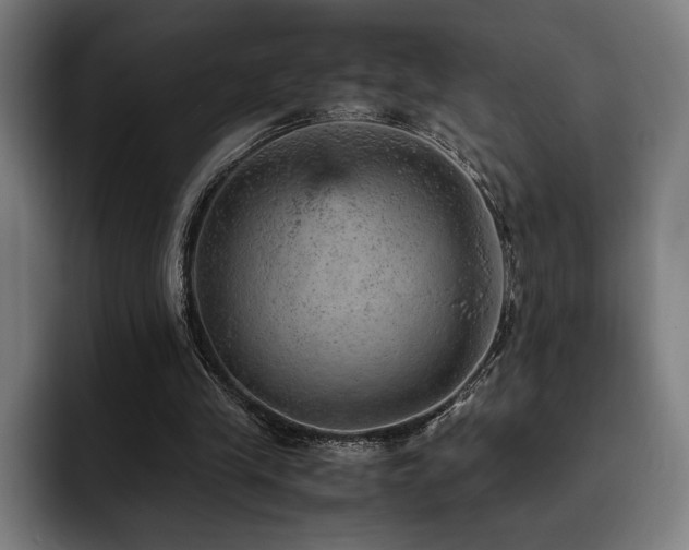X0000093430245200710121207