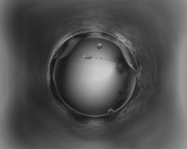 X0000093430248200710121207