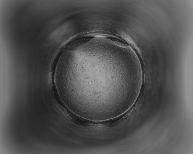 X0000093430249200710121207