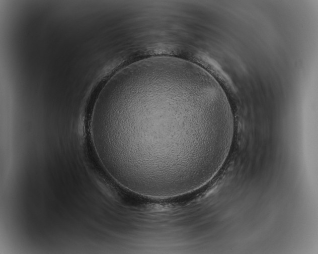 X0000093430250200710121207