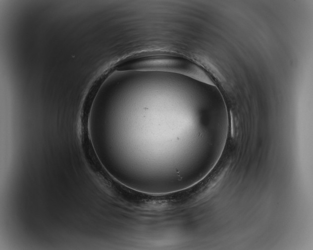 X0000093430252200710121207