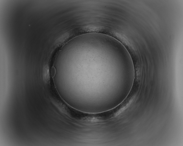 X0000093430254200710121207