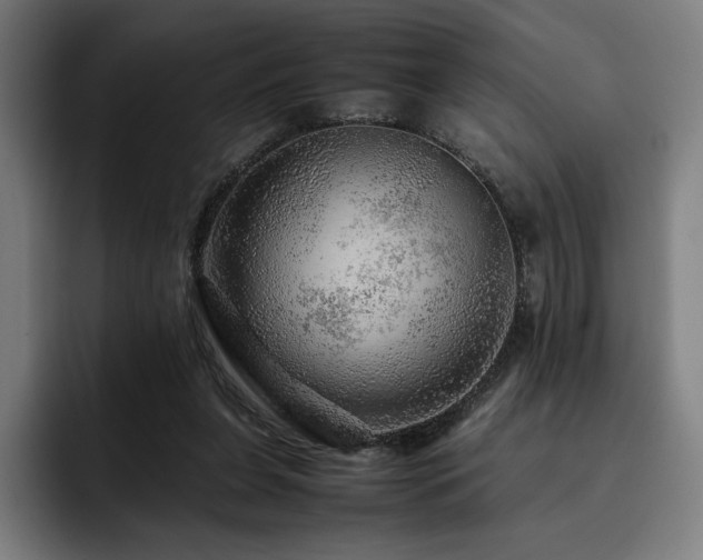 X0000093430255200710121207