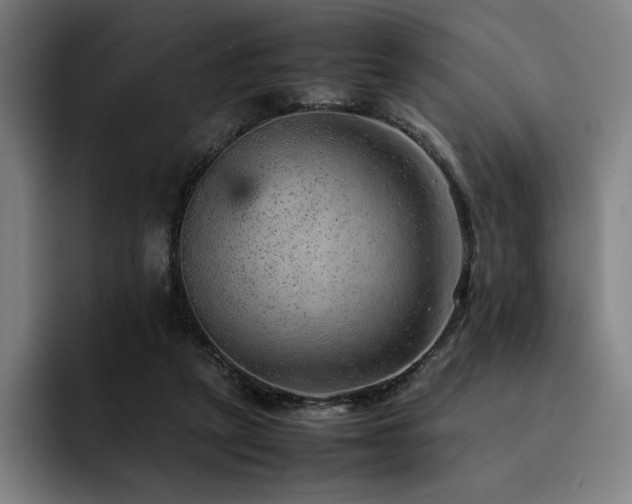 X0000093430257200710121207