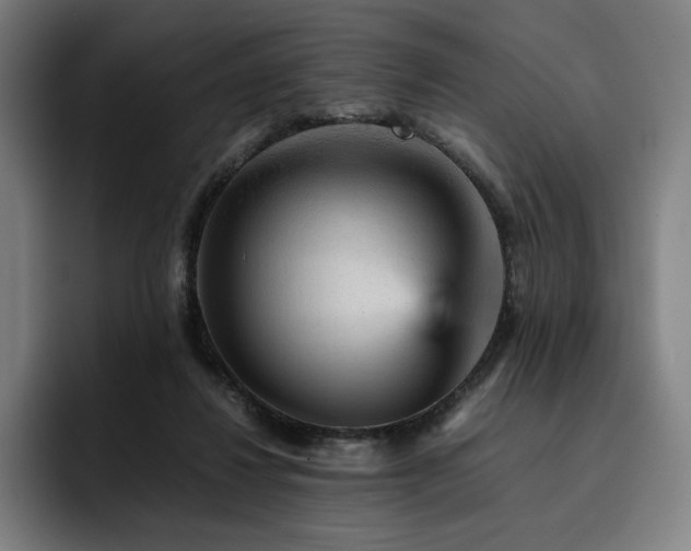 X0000093430260200710121207