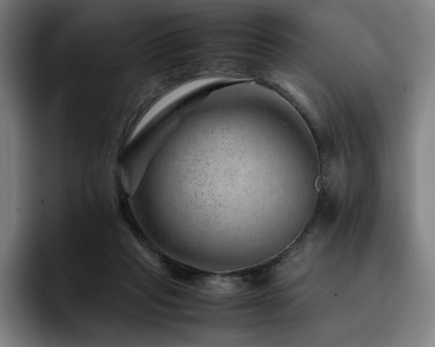 X0000093430261200710121207