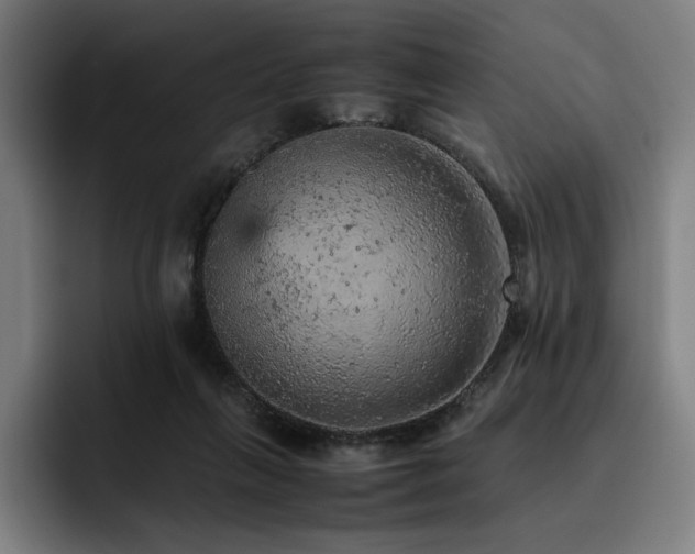 X0000093430263200710121207