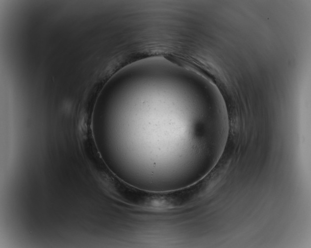 X0000093430264200710121207