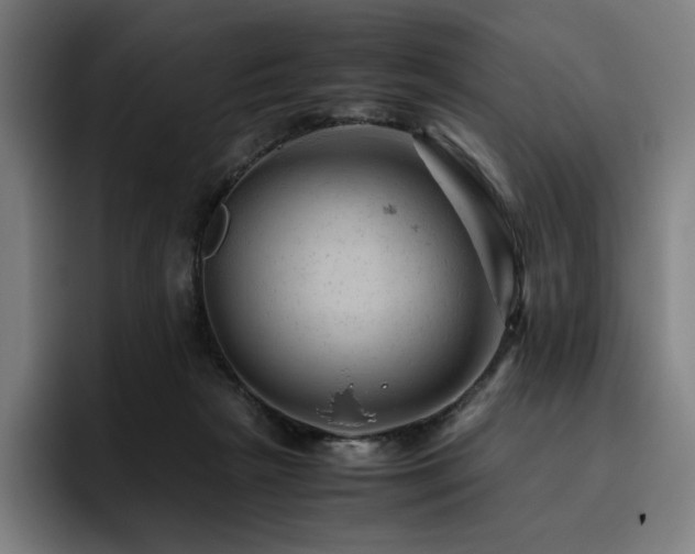X0000093430265200710121207