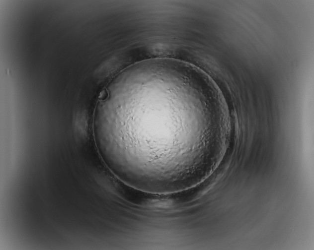X0000093430266200710121207