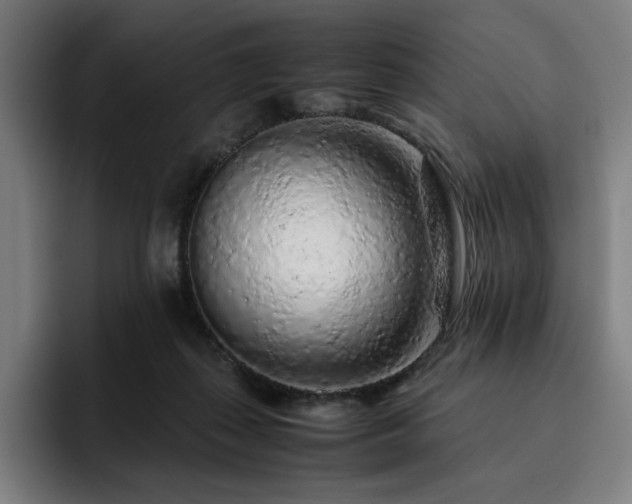 X0000093430267200710121207