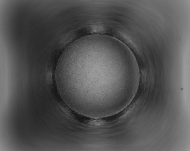 X0000093430269200710121207