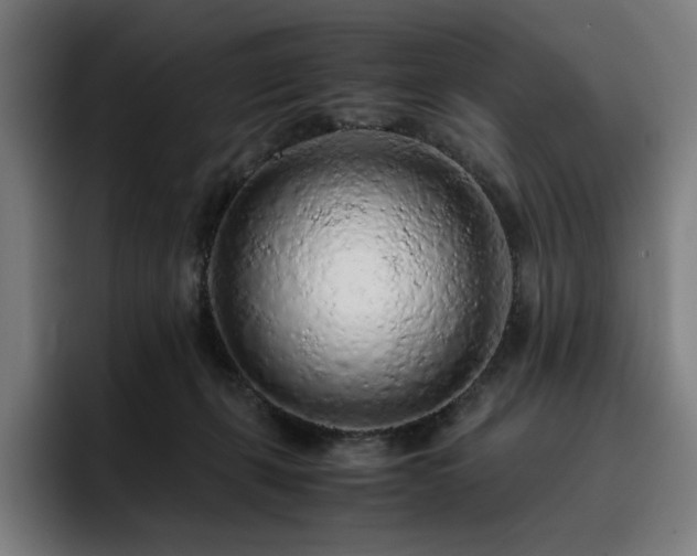 X0000093430271200710121207