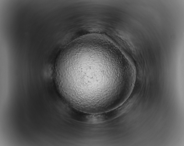 X0000093430273200710121207