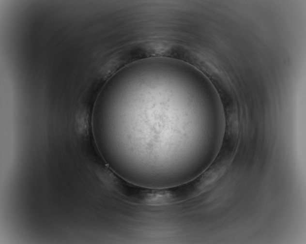 X0000093430274200710121207
