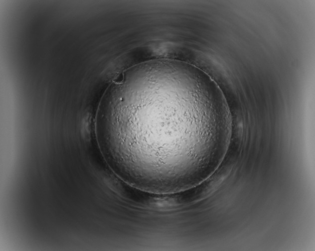 X0000093430275200710121207