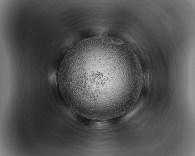 X0000093430286200710121207