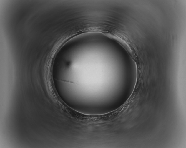 X0000093430289200710121207