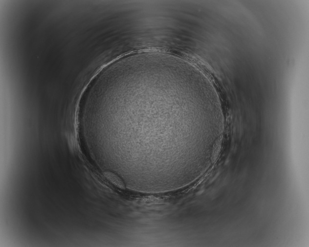X0000093430290200710121207