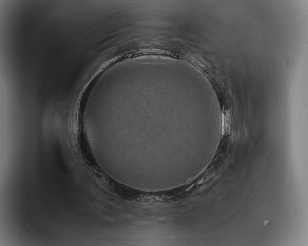 X0000093430291200710121207