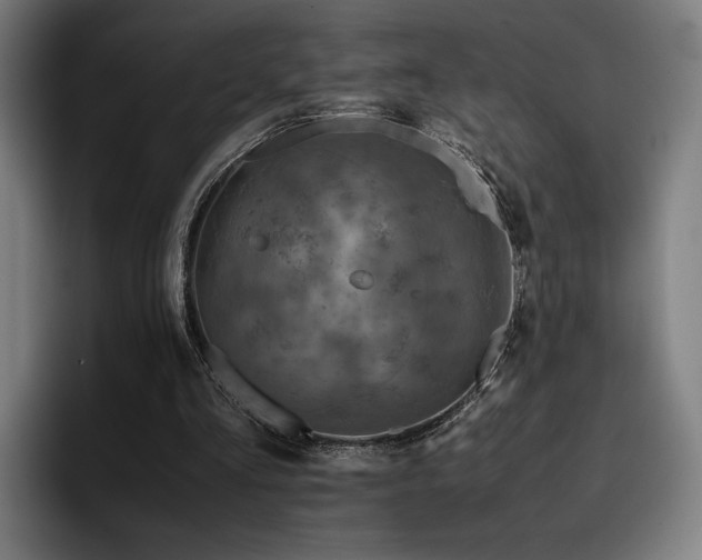 X0000093430293200710121207