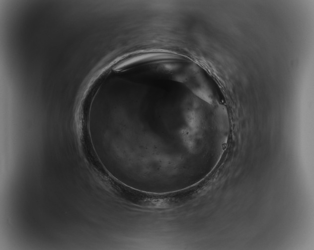 X0000093430295200710121207