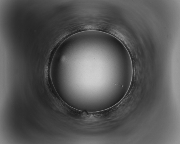 X0000093430297200710121207