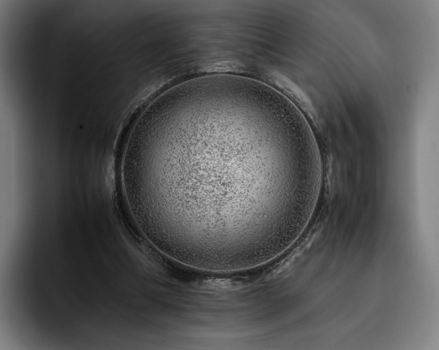 X0000093430298200710121207