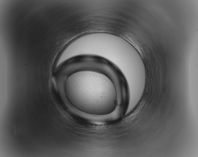 X0000093430301200710121207