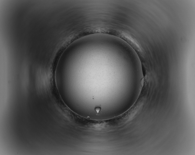 X0000093430306200710121207