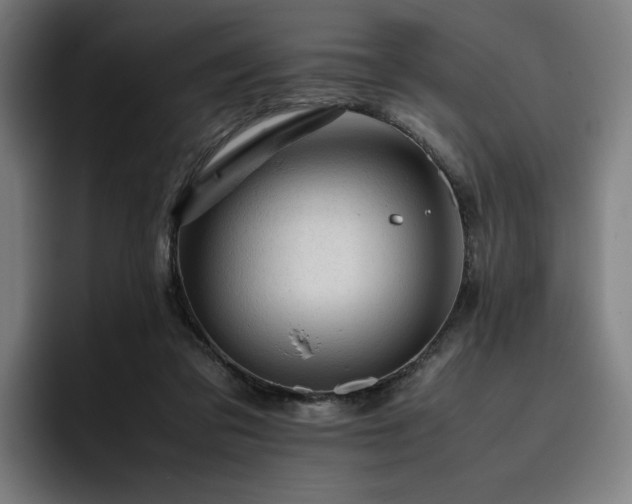 X0000093430309200710121206