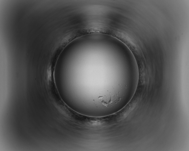 X0000093430310200710121206