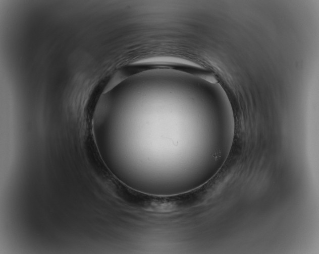 X0000093430311200710121206