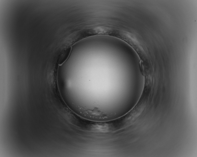X0000093430317200710121206