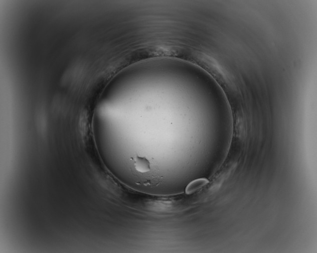 X0000093430318200710121206