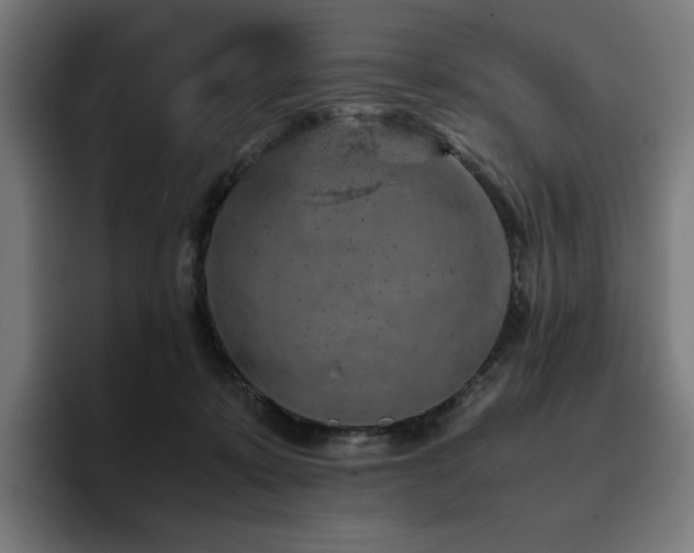 X0000093430319200710121206