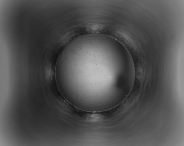 X0000093430324200710121206