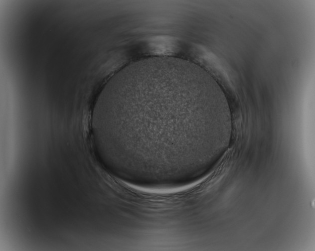X0000093430325200710121206