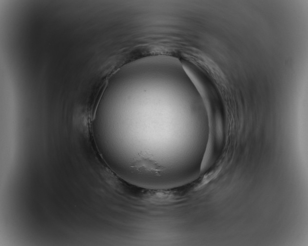 X0000093430329200710121206