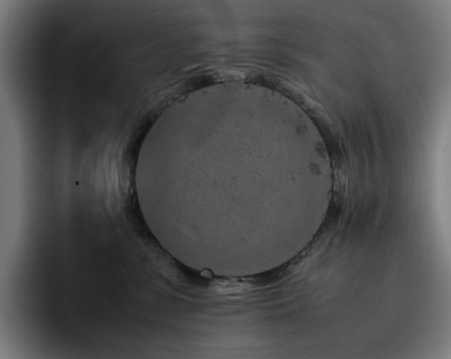 X0000093430331200710121206