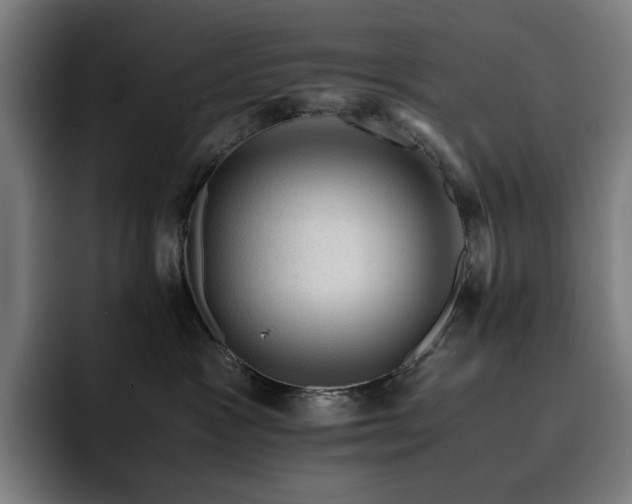 X0000093430333200710121206