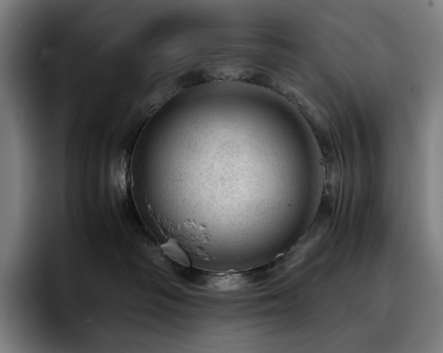 X0000093430334200710121206