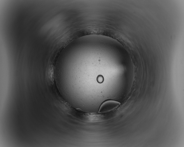 X0000093430336200710121206
