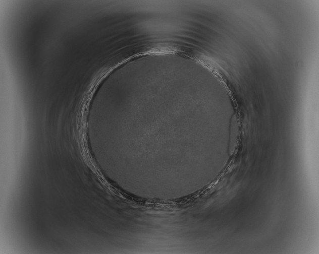 X0000093430337200710121206