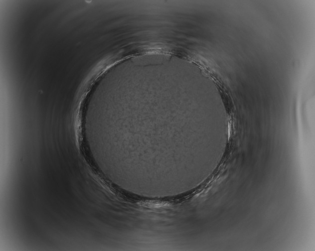 X0000093430339200710121206
