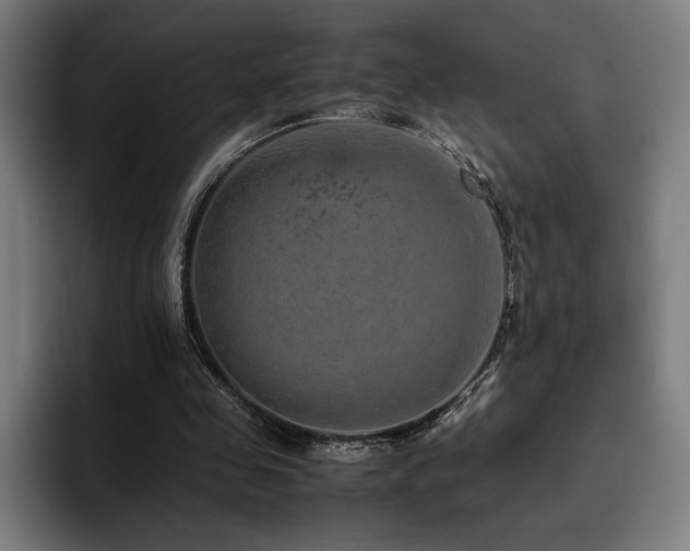 X0000093430341200710121206
