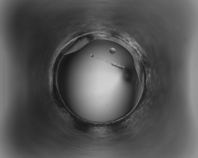 X0000093430344200710121206